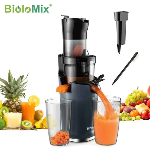 Extracteur de Jus à Mastication Lente